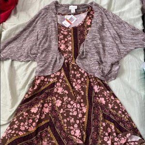 Belle du jour button front skater dress with cardigan size XS